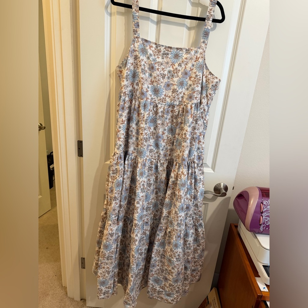 American Eagle Outfitters Blue and Brown Floral Maxi Dress